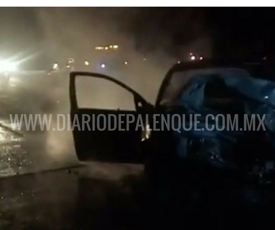 www-diariodepalenque-com-mx-1